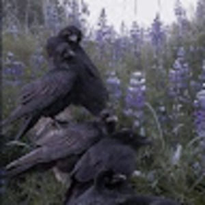 Meet your Posher, Lillian